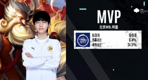 选择我们的五大优势